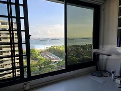 Laguna Park (D15), Apartment #486641471